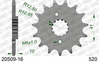 Pignone AFAM 20509-16 passo 520