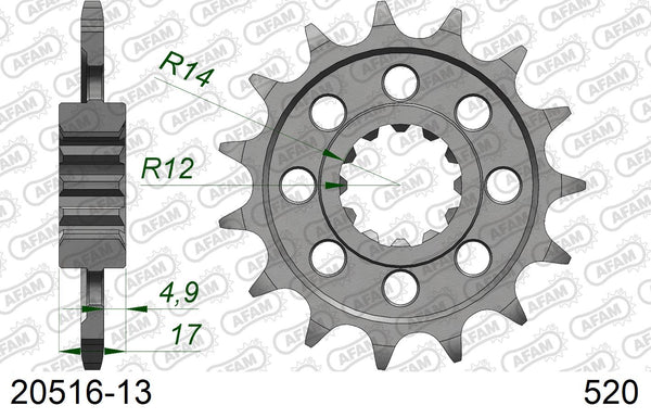 Pignone AFAM 20516-13 passo 520