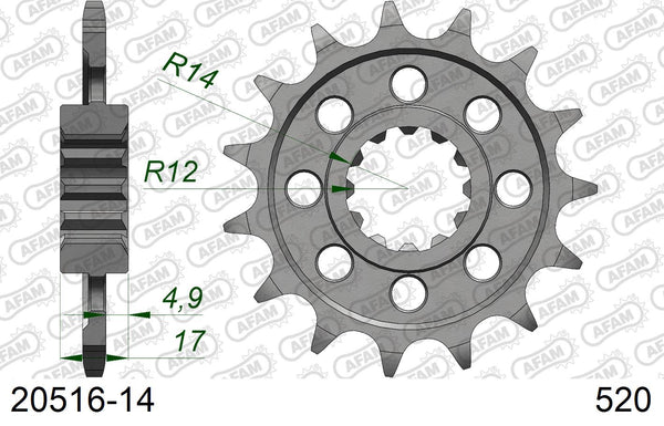 Pignone AFAM 20516-14 passo 520