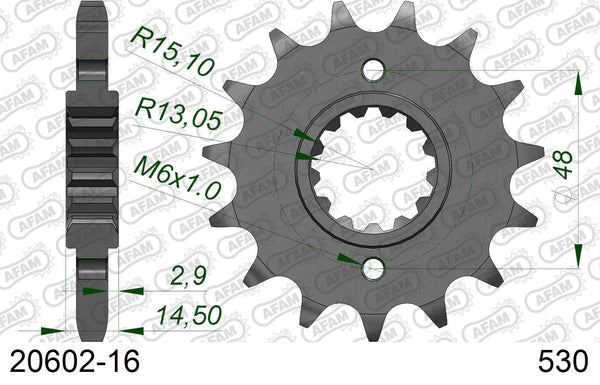Pignone AFAM 20602-16 passo 530