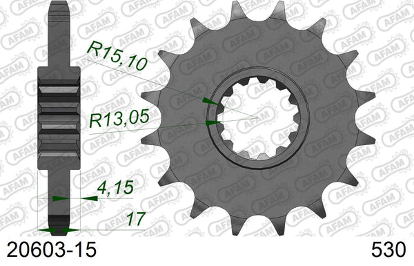 Pignone AFAM 20603-15 passo 530