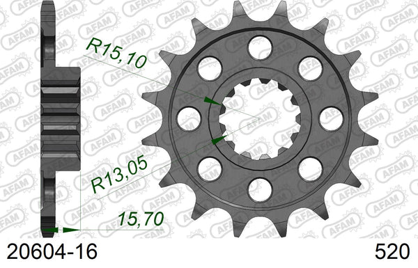 Pignone AFAM 20604-16 passo 520