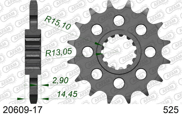 Pignone AFAM 20609-17 passo 525