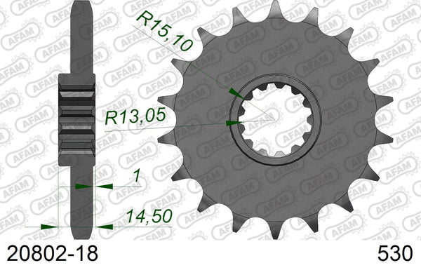 Pignone AFAM 20802-18 passo 530
