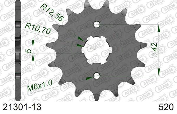 Pignone AFAM 21301-13 passo 520