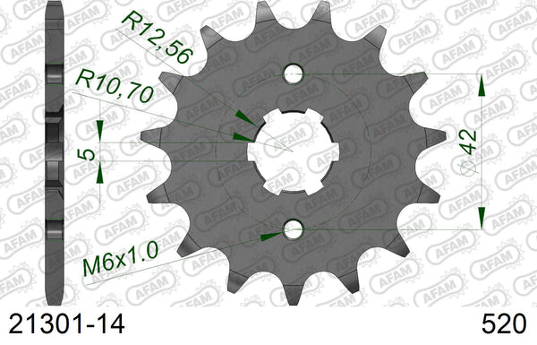 Pignone AFAM 21301-14 passo 520