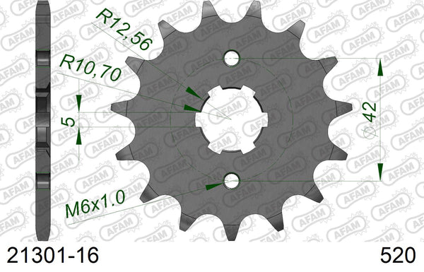 Pignone AFAM 21301-16 passo 520