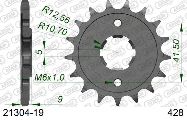 Pignone AFAM 21304-19 passo 428