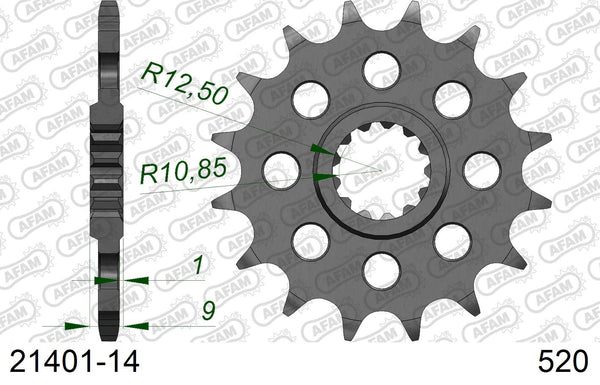 Pignone AFAM 21401-14 passo 520