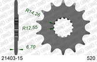 Pignone AFAM 21403-15 passo 520