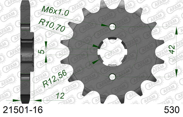 Pignone AFAM 21501-16 passo 530