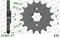 Pignone AFAM 21501-17 passo 530