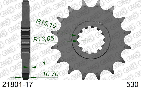 Pignone AFAM 21801-17 passo 530