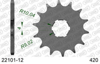 Pignone AFAM 22101-12 passo 420