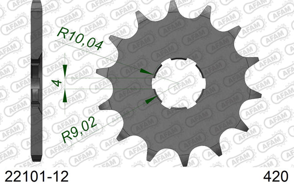 Pignone AFAM 22101-12 passo 420