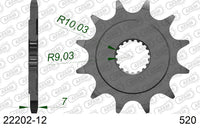 Pignone AFAM 22202-12 passo 520