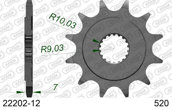 Pignone AFAM 22202-12 passo 520