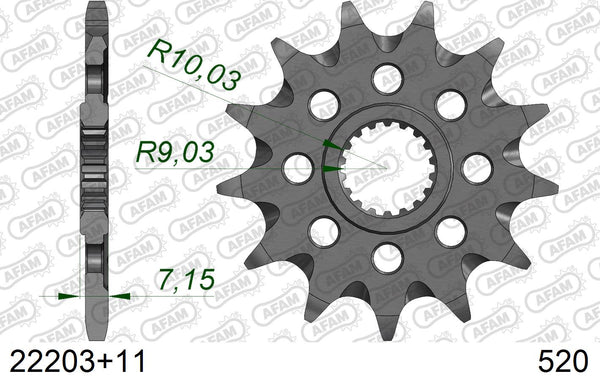 Pignone AFAM 22203+11 passo 520