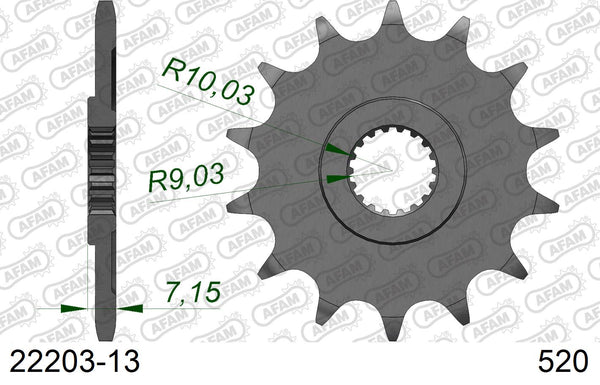 Pignone AFAM 22203-13 passo 520