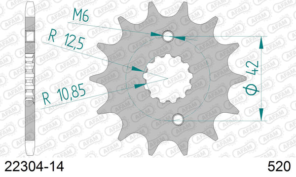 Pignone AFAM 22304-14 passo 520