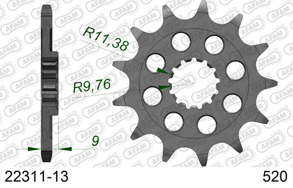 Pignone AFAM 22311-13 passo 520