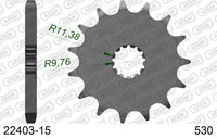 Pignone AFAM 22403-15 passo 530