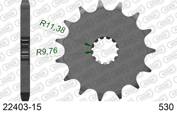 Pignone AFAM 22403-15 passo 530