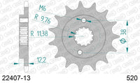 Pignone AFAM 22407-13 passo 520