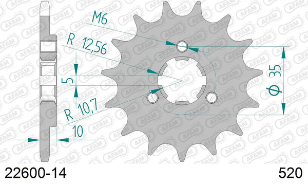 Pignone AFAM 22600-14 passo 520