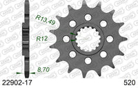 Pignone AFAM 22902-17 passo 520