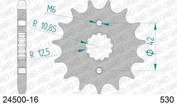 Pignone AFAM 24500-16 passo 530