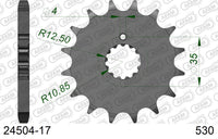 Pignone AFAM 24504-17 passo 530