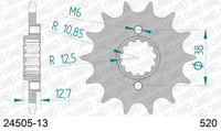 Pignone AFAM 24505-13 passo 520