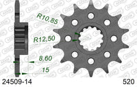 Pignone AFAM 24509-14 passo 520