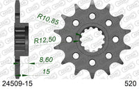 Pignone AFAM 24509-15 passo 520