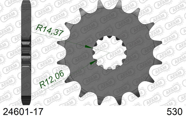 Pignone AFAM 24601-17 passo 530