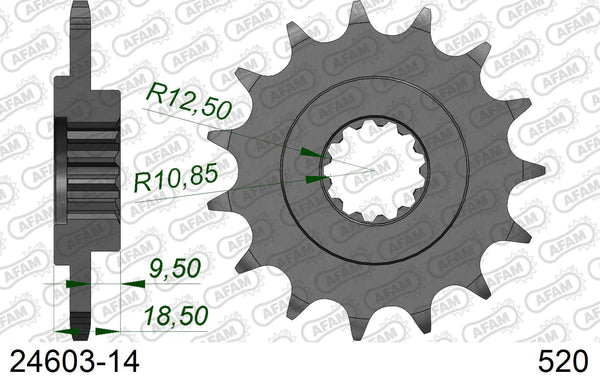 Pignone AFAM 24603-14 passo 520