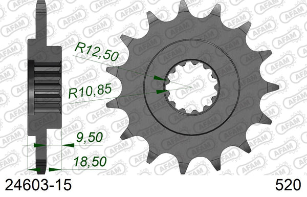 Pignone AFAM 24603-15 passo 520