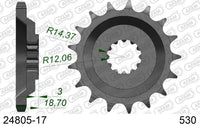 Pignone AFAM 24805-17 passo 530