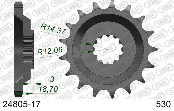 Pignone AFAM 24805-17 passo 530