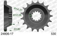 Pignone AFAM 24806-17 passo 530