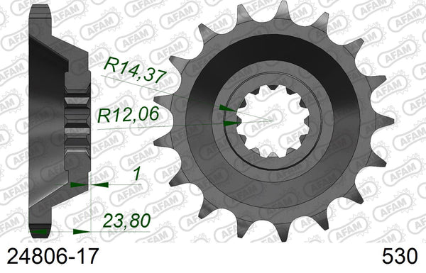 Pignone AFAM 24806-17 passo 530