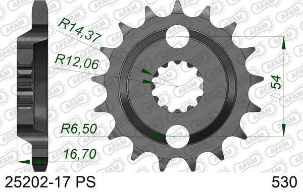Pignone AFAM 25202-17 PS passo 530