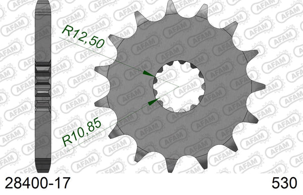 Pignone AFAM 28400-17 passo 530