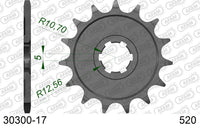 Pignone AFAM 30300-17 passo 520