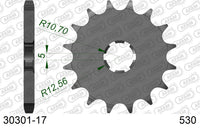Pignone AFAM 30301-17 passo 530