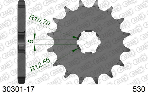 Pignone AFAM 30301-17 passo 530