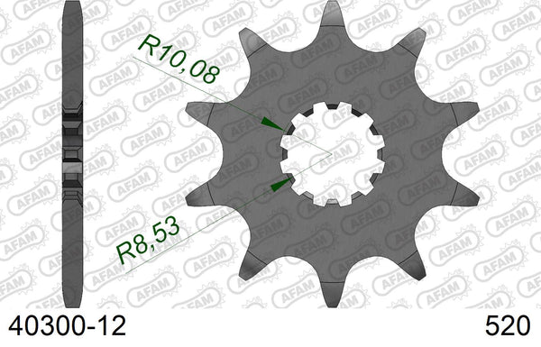 Pignone AFAM 40300-12 passo 520