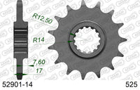 Pignone AFAM 52901-14 passo 525