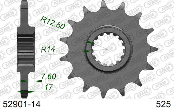 Pignone AFAM 52901-14 passo 525